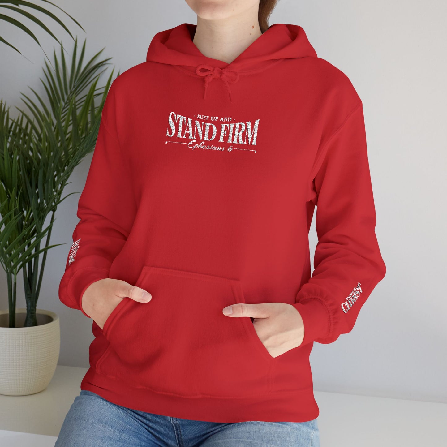Special Edition Armor of God Hoodie